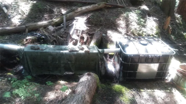 a backyard of a house with large trees and plants