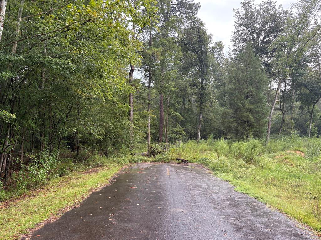 0 Fox Skin Drive Haughton, LA 71037 - Photo 1 of 15 Access to property from Fox Skin Dr