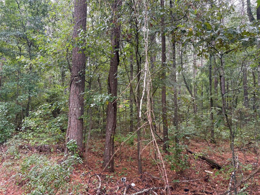 0 Fox Skin Drive Haughton, LA 71037 - Photo 11 of 15