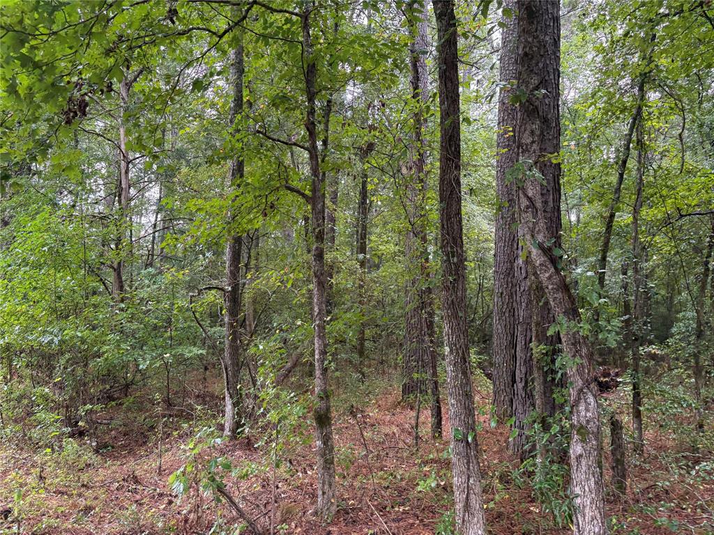 0 Fox Skin Drive Haughton, LA 71037 - Photo 12 of 15