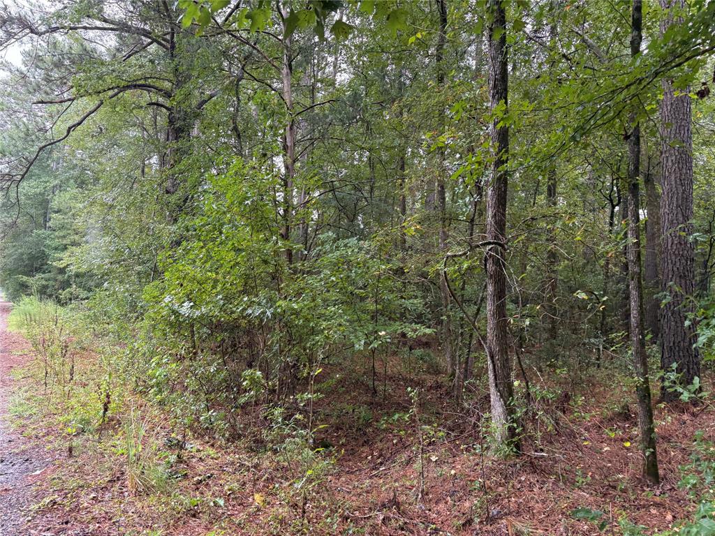 0 Fox Skin Drive Haughton, LA 71037 - Photo 13 of 15
