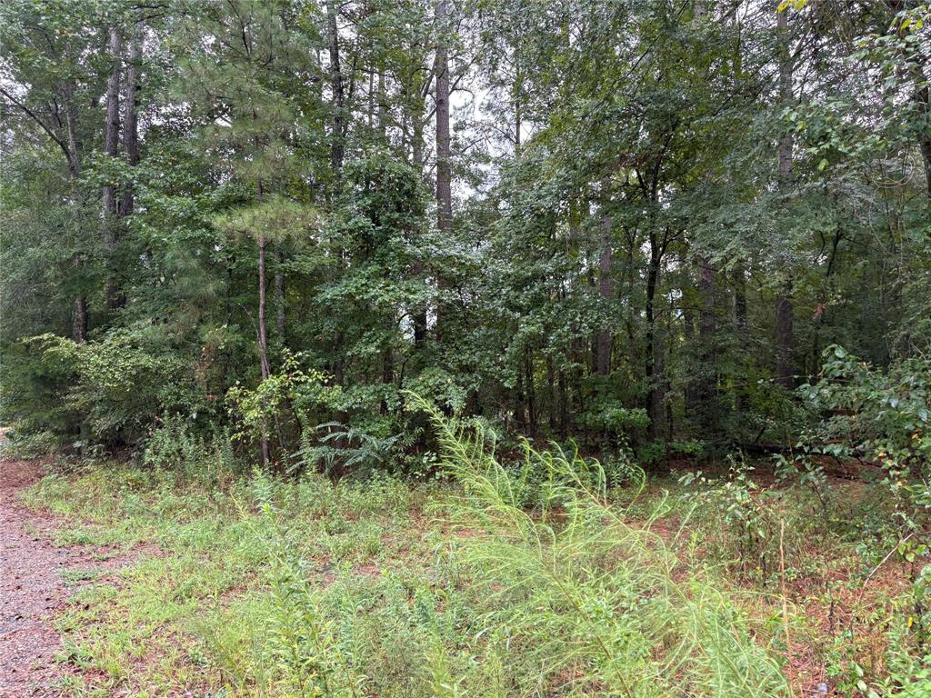 0 Fox Skin Drive Haughton, LA 71037 - Photo 14 of 15