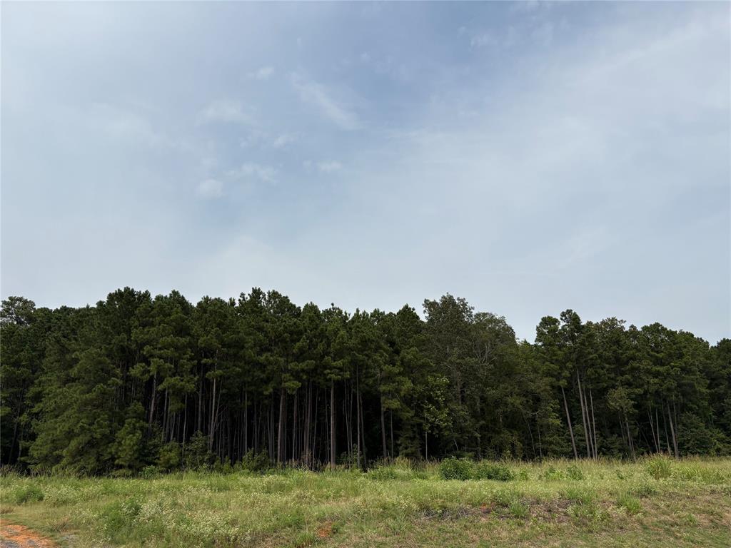 0 Fox Skin Drive Haughton, LA 71037 - Photo 15 of 15 Tree line behind Magnolia Ridge Subdv