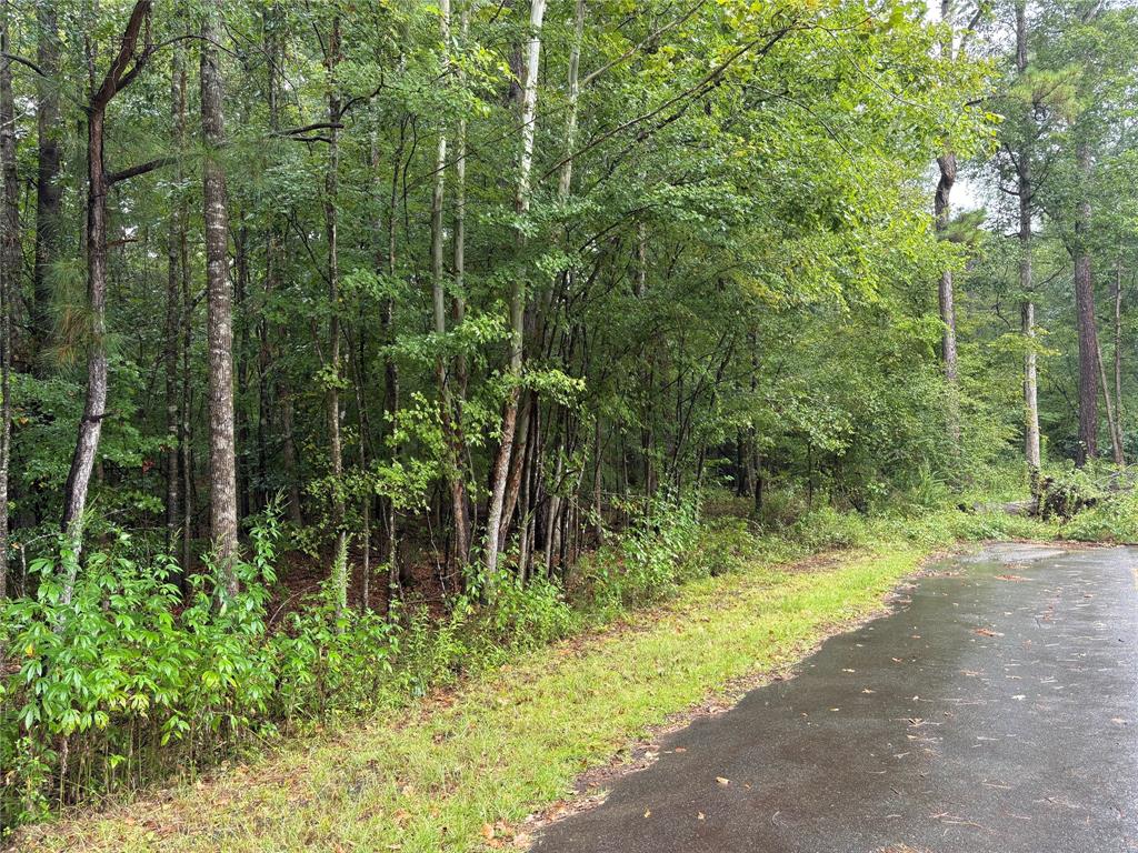0 Fox Skin Drive Haughton, LA 71037 - Photo 3 of 15 Access to property from Fox Skin Dr.