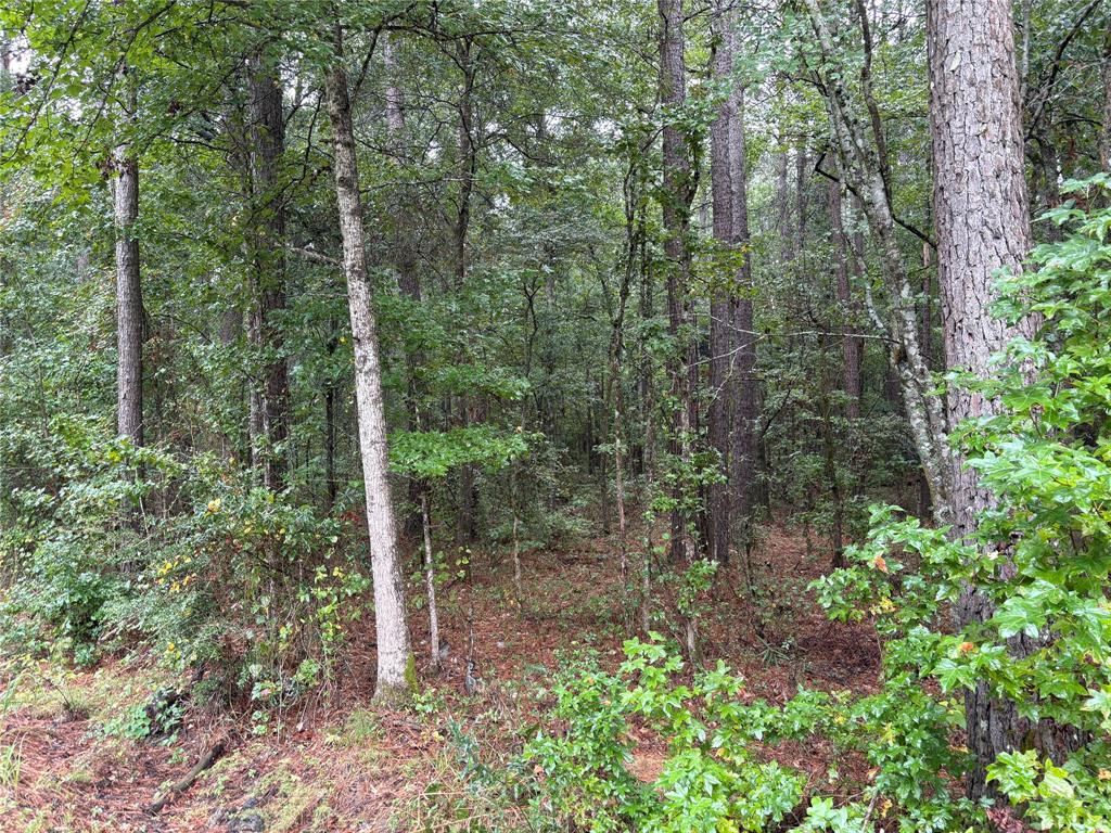 0 Fox Skin Drive Haughton, LA 71037 - Photo 5 of 15