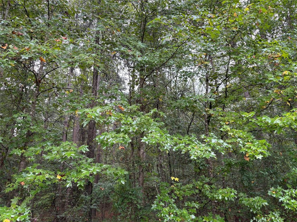 0 Fox Skin Drive Haughton, LA 71037 - Photo 6 of 15