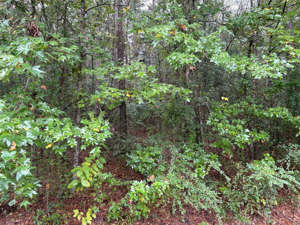 0 Fox Skin Drive Haughton, LA 71037 - Photo 7 of 15