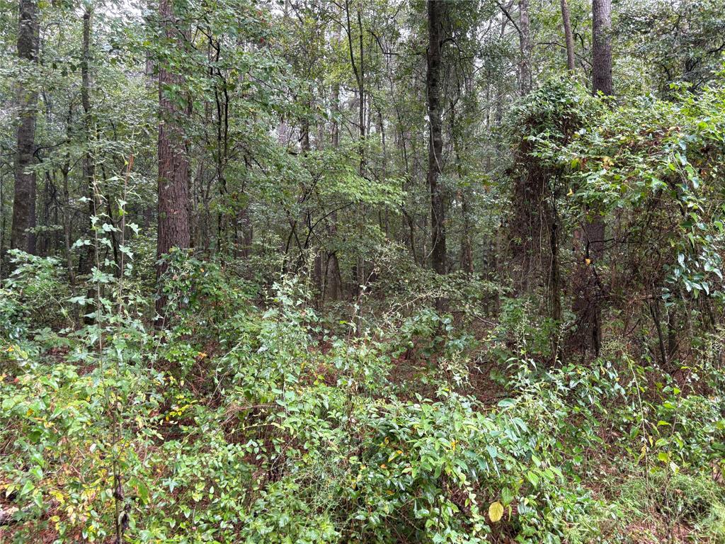 0 Fox Skin Drive Haughton, LA 71037 - Photo 8 of 15