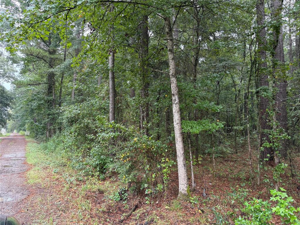 0 Fox Skin Drive Haughton, LA 71037 - Photo 9 of 15