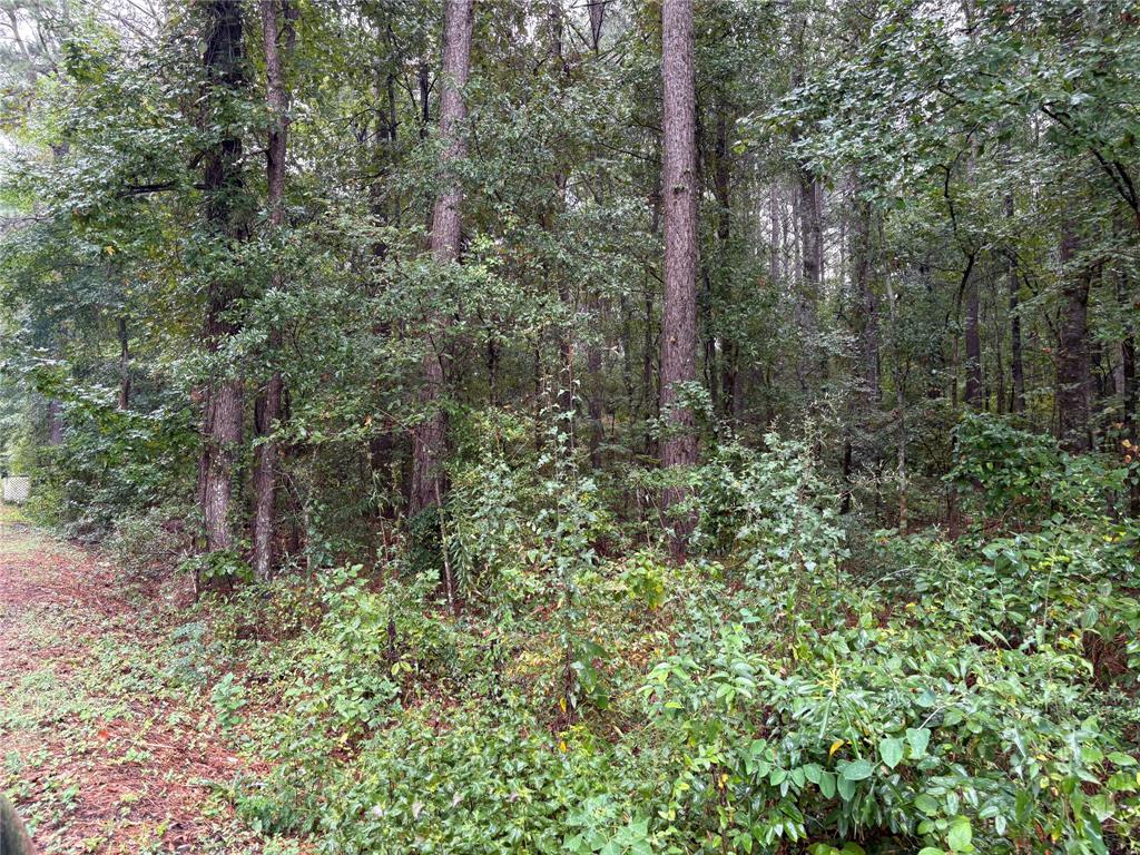 0 Fox Skin Drive Haughton, LA 71037 - Photo 10 of 15