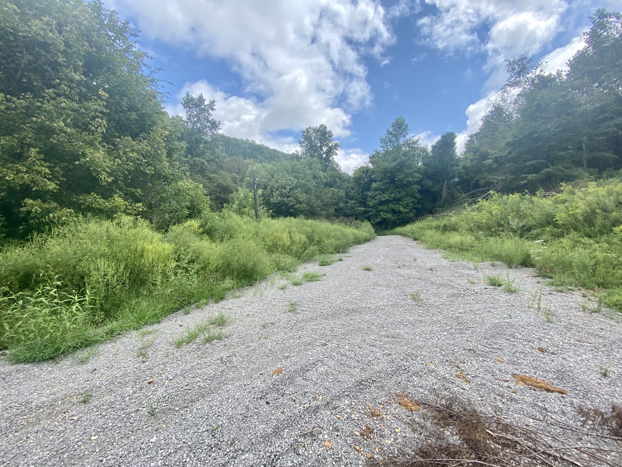 2445 Adamson Branch Road Liberty, TN 37095 - Photo 2 of 5 a view of a dirt road with large trees