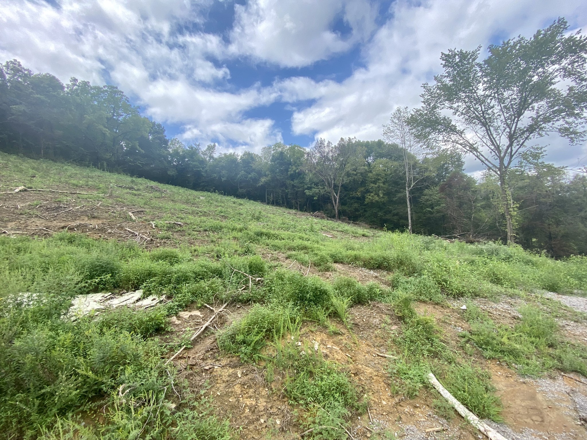 2445 Adamson Branch Road Liberty, TN 37095 - Photo 3 of 5 a backyard of a house with lots of green space