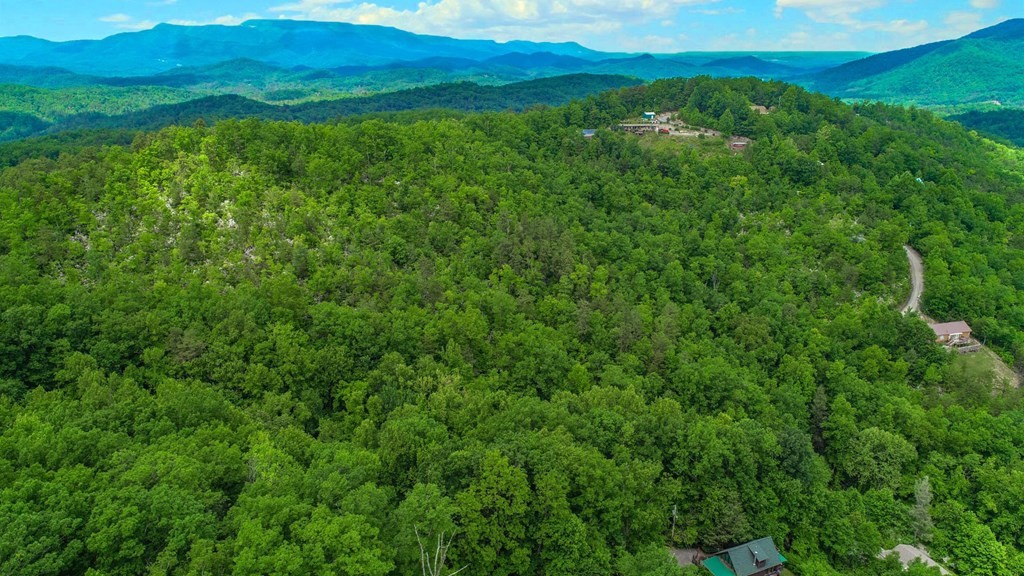 0 Acres Cosby, TN 37722 - Photo 9 of 28 Gallery Image 9