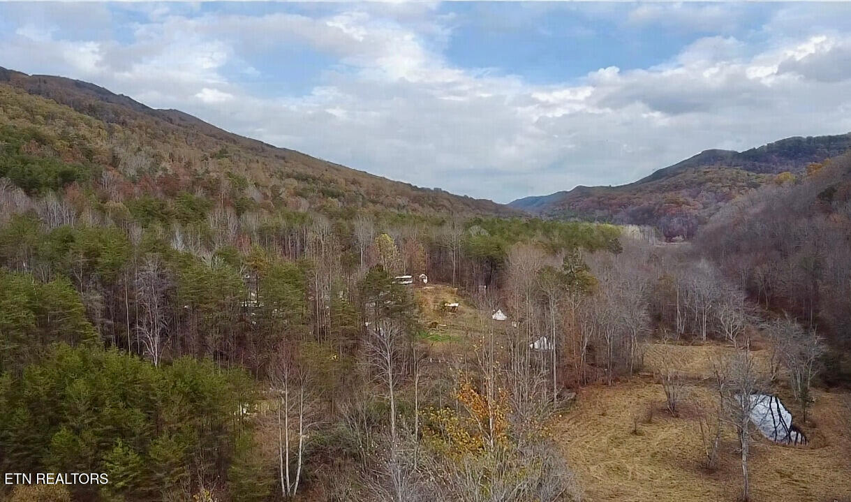 1693 Steve Brown Road Bean Station, TN 37708 - Photo 17 of 36 Valley