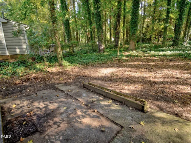 a view of a yard with plants and trees