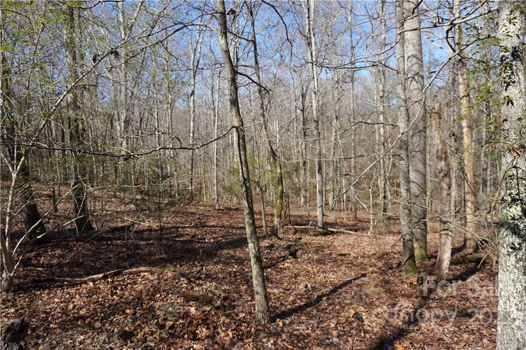 66 /- Acres Bate Harvey Road Clover, SC 29710 - Photo 11 of 29 a view of a backyard of the house