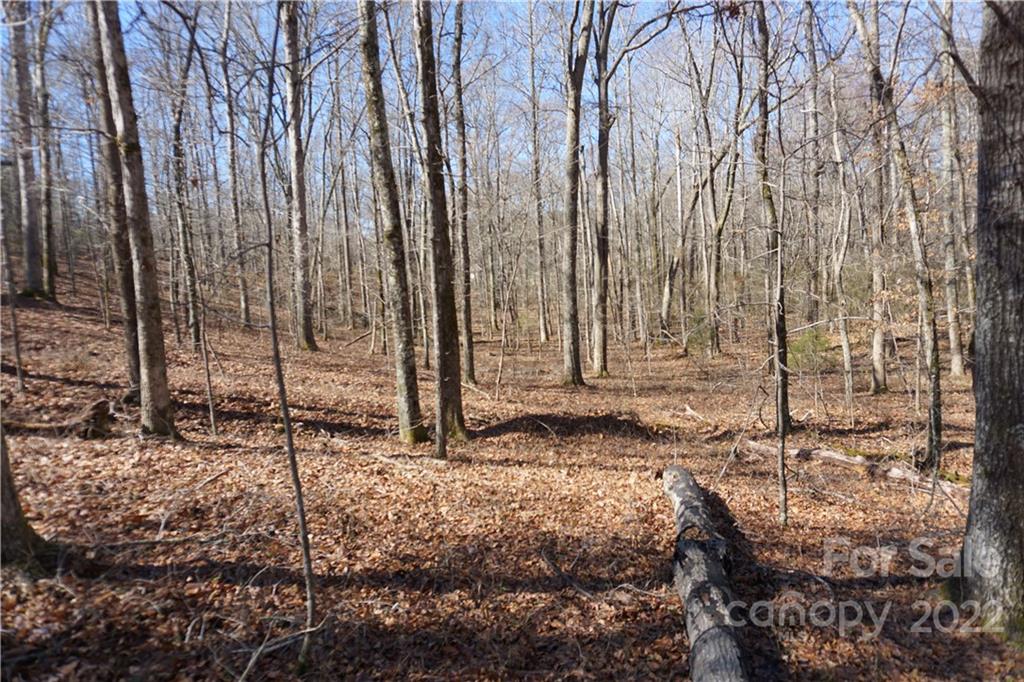 66 /- Acres Bate Harvey Road Clover, SC 29710 - Photo 12 of 29 a view of a backyard with trees