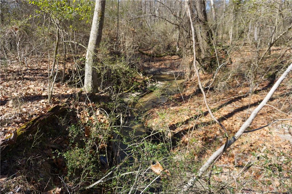 66 /- Acres Bate Harvey Road Clover, SC 29710 - Photo 13 of 29