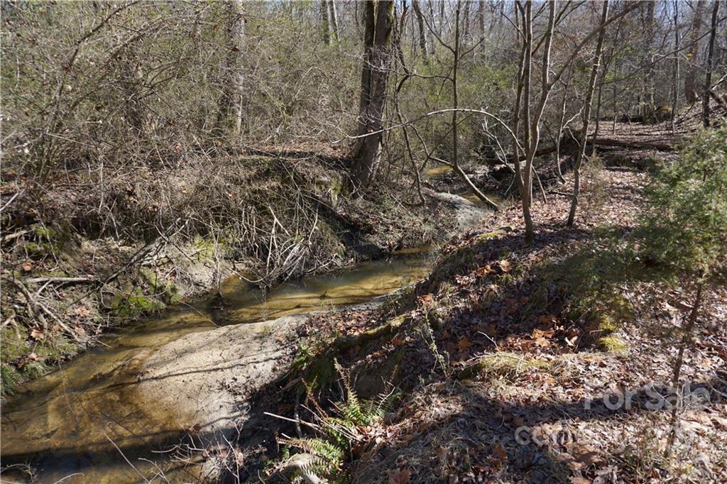 66 /- Acres Bate Harvey Road Clover, SC 29710 - Photo 14 of 29 a yard with lots of trees
