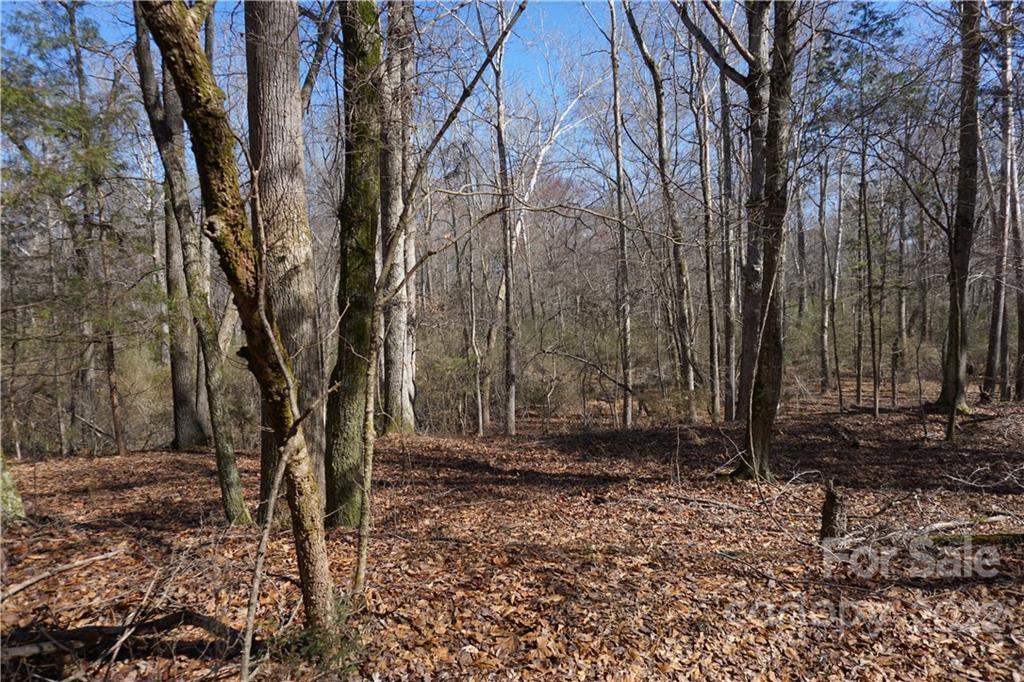 66 /- Acres Bate Harvey Road Clover, SC 29710 - Photo 18 of 29 a view of a backyard with large trees