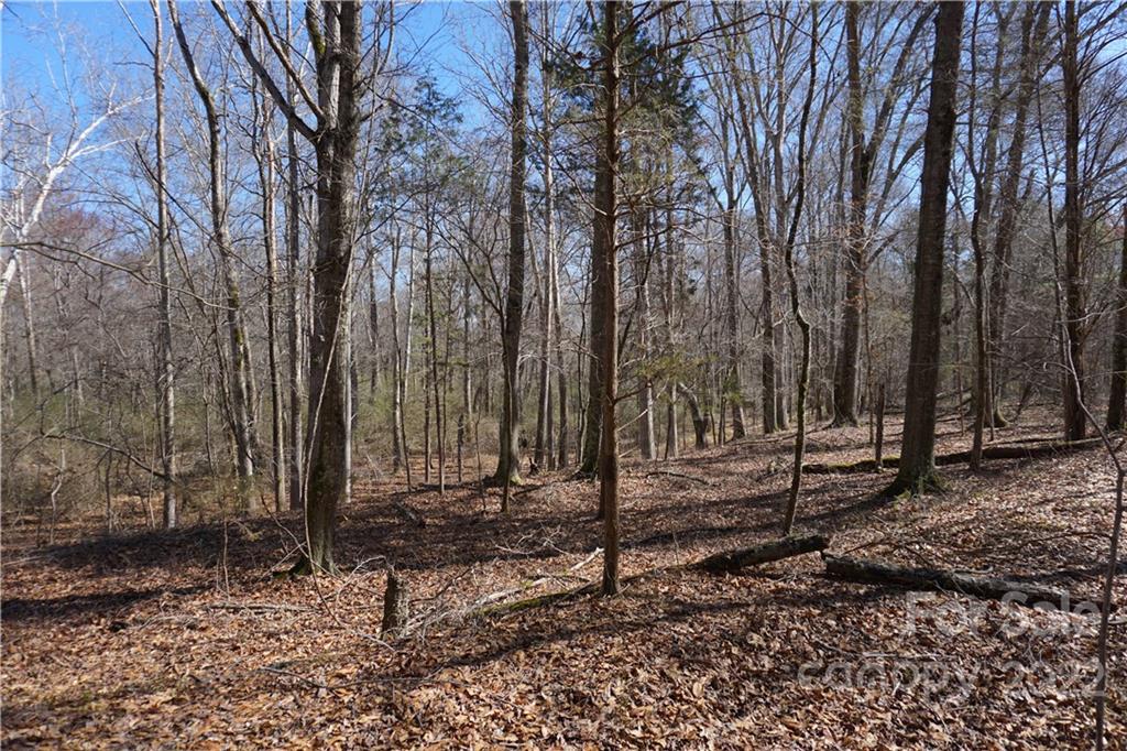 66 /- Acres Bate Harvey Road Clover, SC 29710 - Photo 19 of 29 a view of a backyard