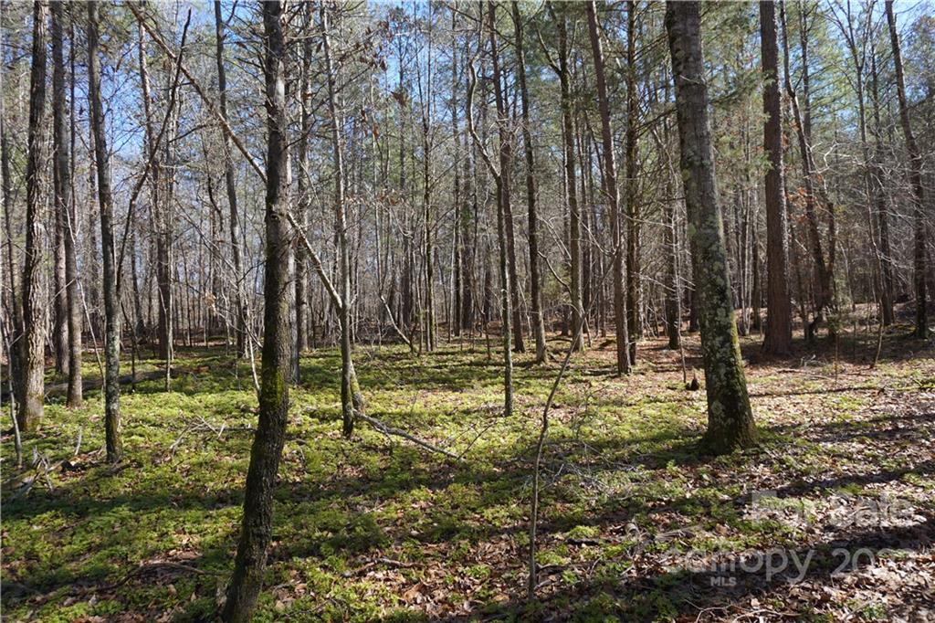 66 /- Acres Bate Harvey Road Clover, SC 29710 - Photo 2 of 29