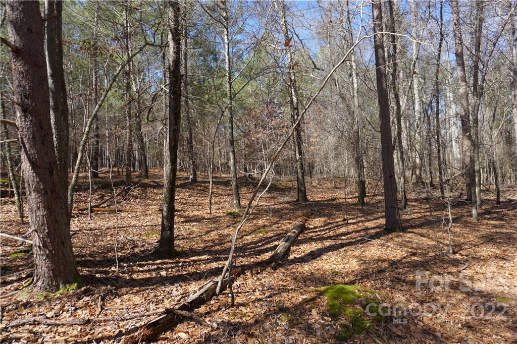66 /- Acres Bate Harvey Road Clover, SC 29710 - Photo 21 of 29 a view of a forest with trees