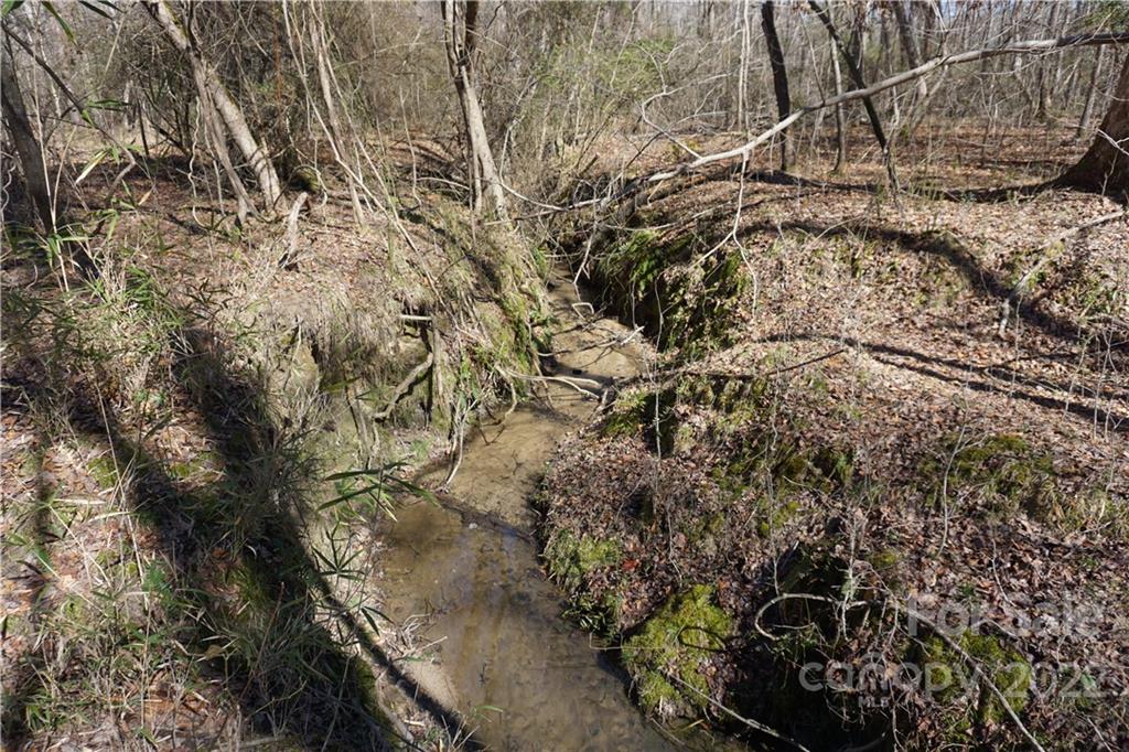 66 /- Acres Bate Harvey Road Clover, SC 29710 - Photo 23 of 29 a view of a yard