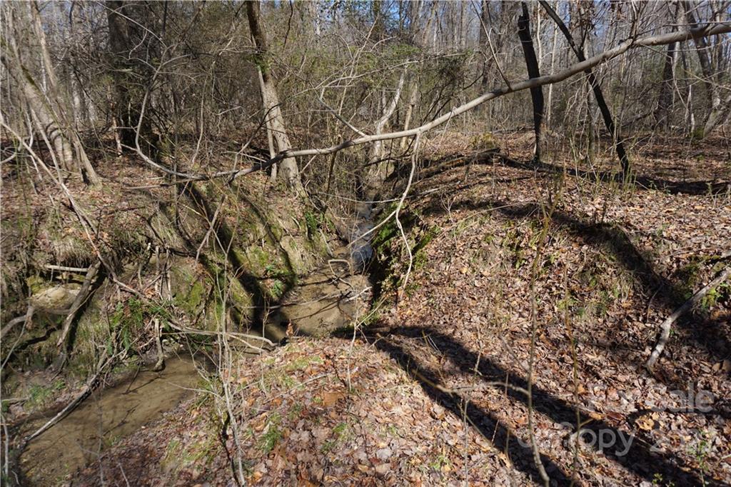 66 /- Acres Bate Harvey Road Clover, SC 29710 - Photo 24 of 29 a view of a yard with a tree