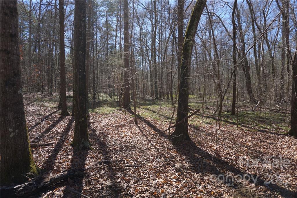66 /- Acres Bate Harvey Road Clover, SC 29710 - Photo 25 of 29 a backyard of a house with lots of green space