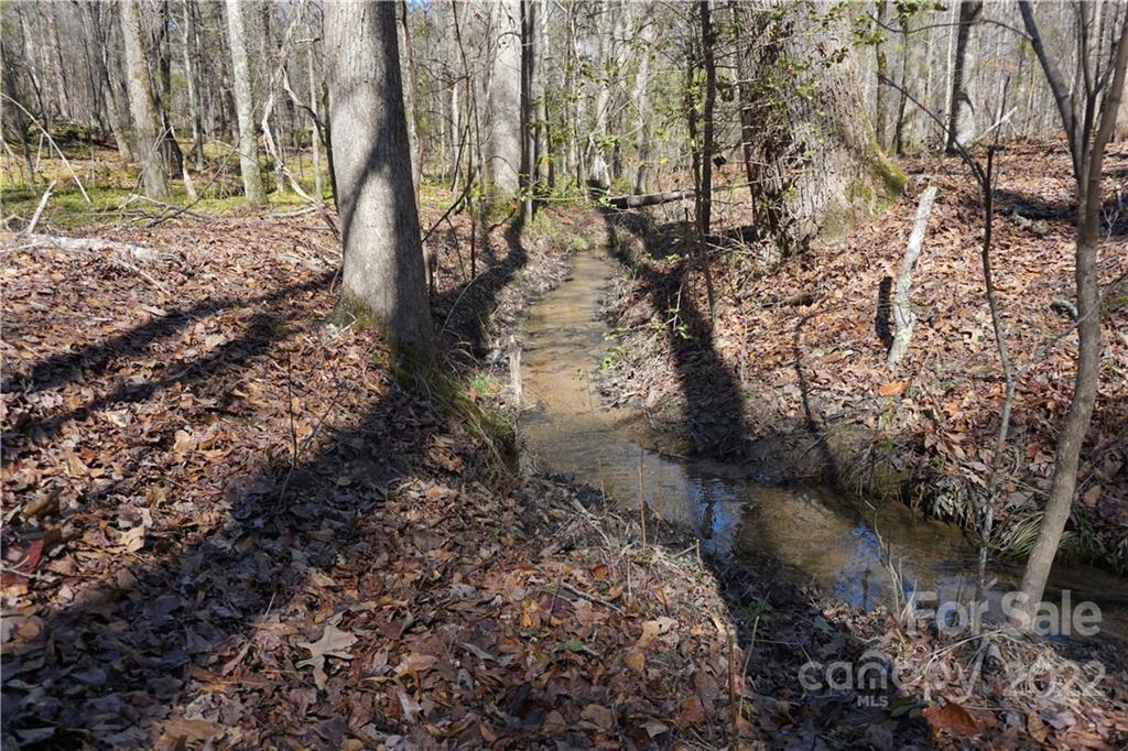 66 /- Acres Bate Harvey Road Clover, SC 29710 - Photo 28 of 29 a view of a yard with trees