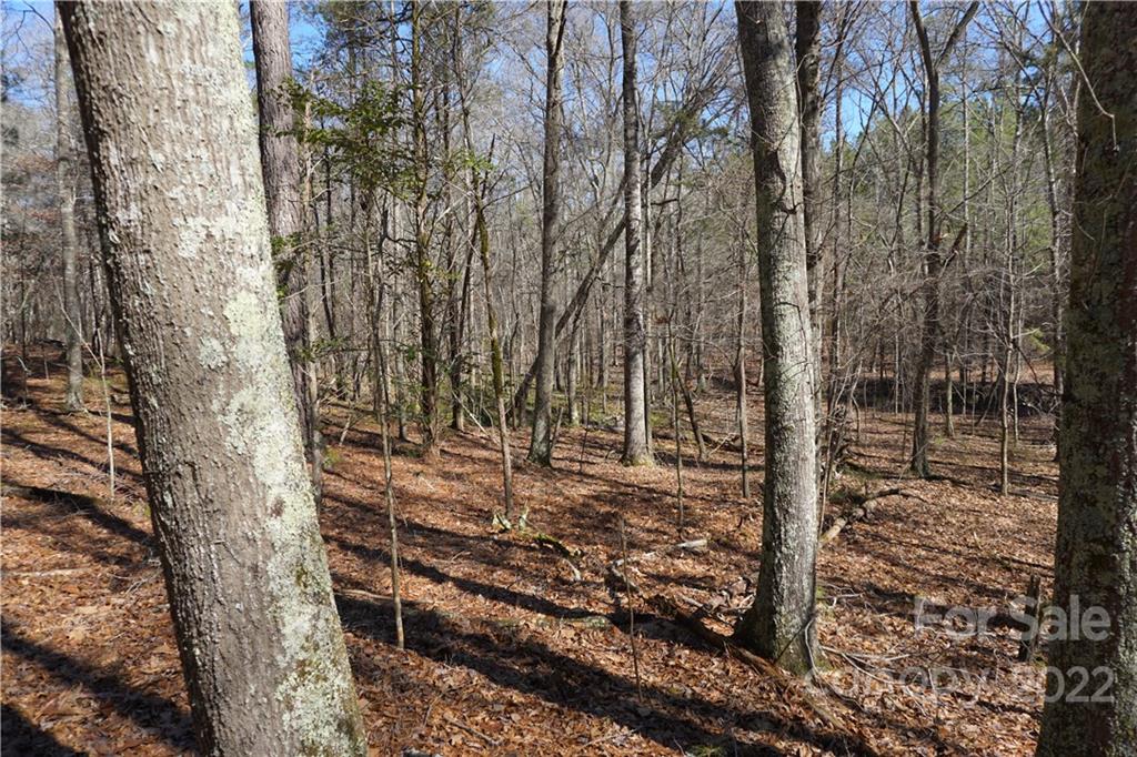 66 /- Acres Bate Harvey Road Clover, SC 29710 - Photo 29 of 29