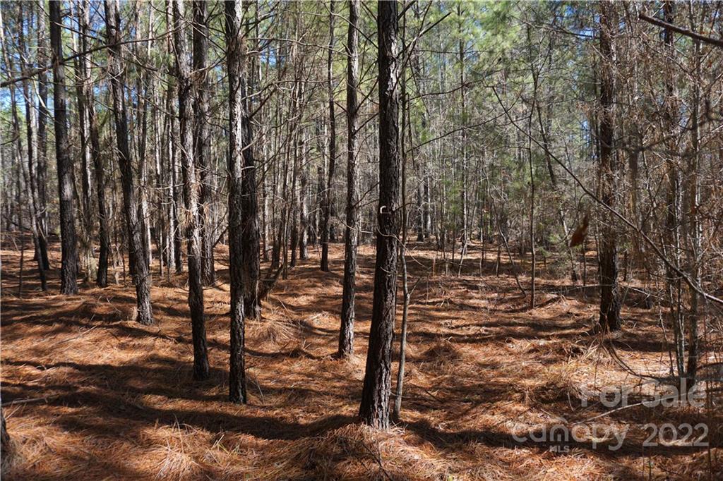66 /- Acres Bate Harvey Road Clover, SC 29710 - Photo 4 of 29 a view of outdoor space