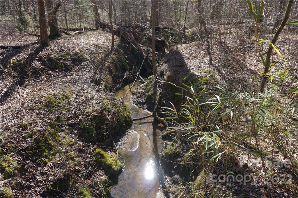 66 /- Acres Bate Harvey Road Clover, SC 29710 - Photo 5 of 29