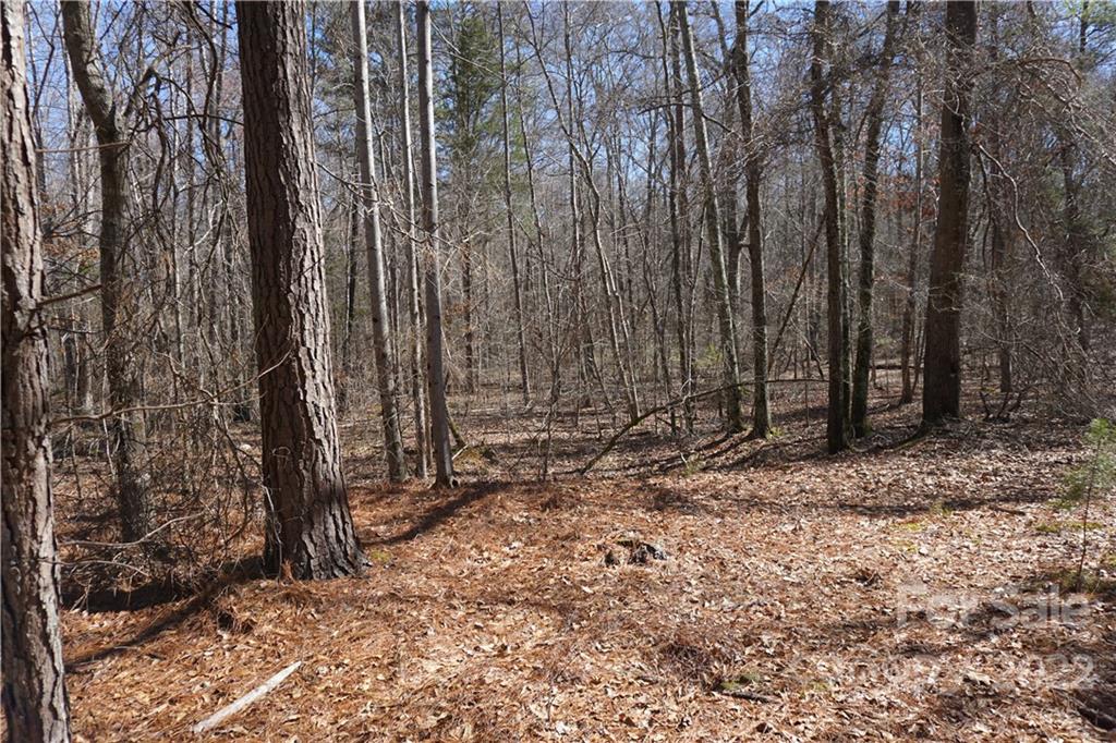 66 /- Acres Bate Harvey Road Clover, SC 29710 - Photo 6 of 29 a view of a backyard with trees