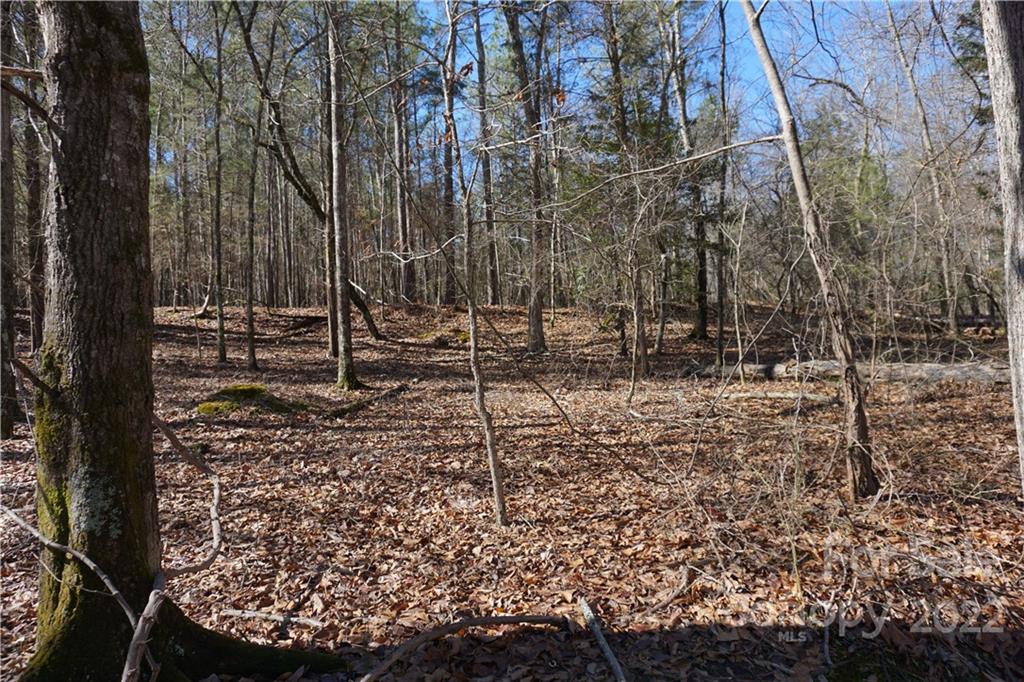66 /- Acres Bate Harvey Road Clover, SC 29710 - Photo 7 of 29 a backyard of a house with lots of green space