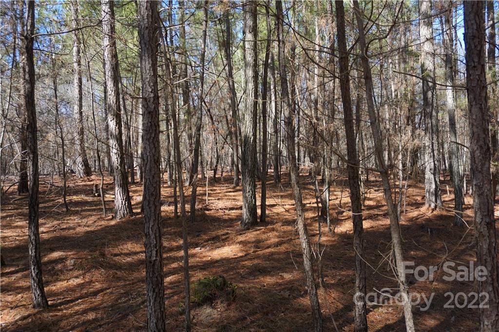 66 /- Acres Bate Harvey Road Clover, SC 29710 - Photo 9 of 29 a view of outdoor space with seating area