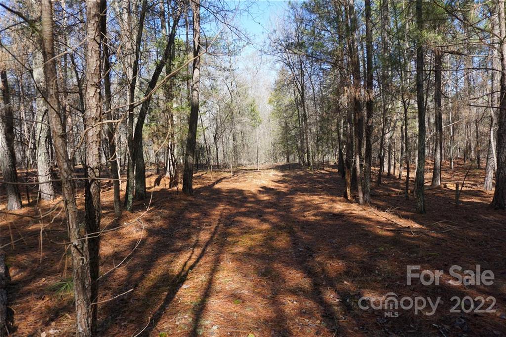 66 /- Acres Bate Harvey Road Clover, SC 29710 - Photo 10 of 29 a view of outdoor space with trees