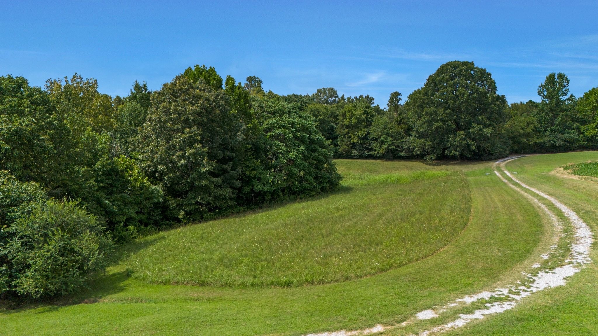 4664 New Cut Road Greenbrier, TN 37073 - Photo 36 of 87 a view of a swimming pool