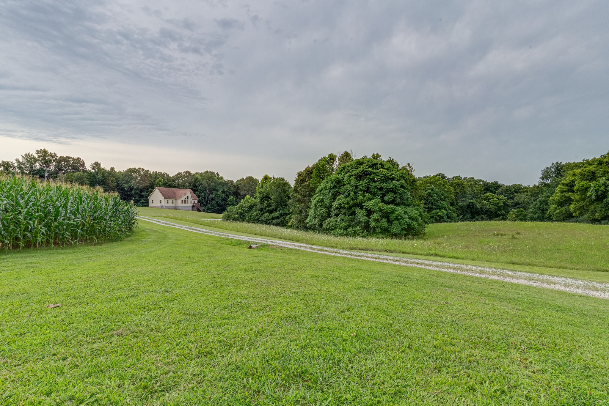 4664 New Cut Road Greenbrier, TN 37073 - Photo 51 of 87 a view of a big yard with a large trees