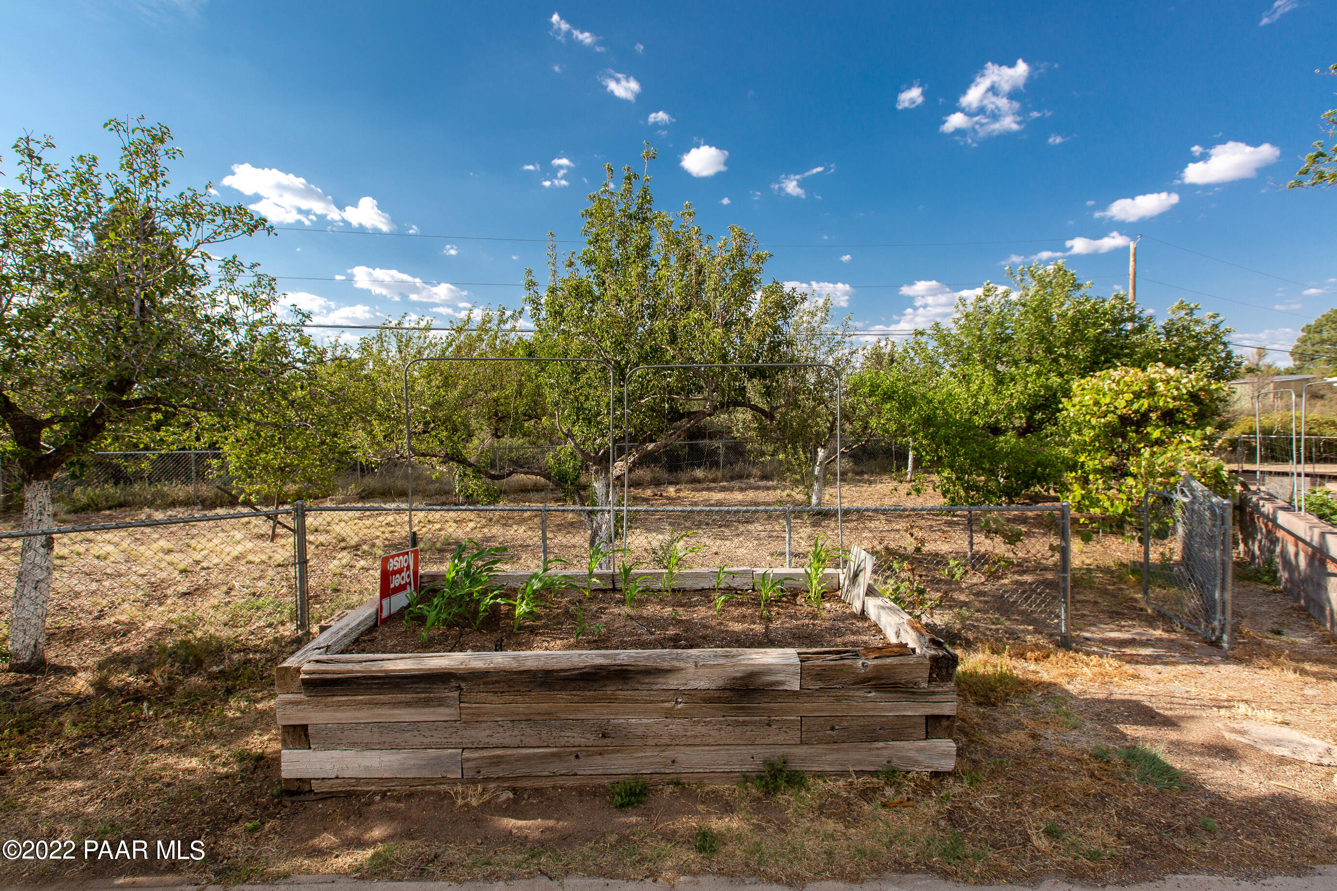 6050 North Williamson Valley Road Prescott, AZ 86305 - Photo 42 of 59 orchard & vegetable garden