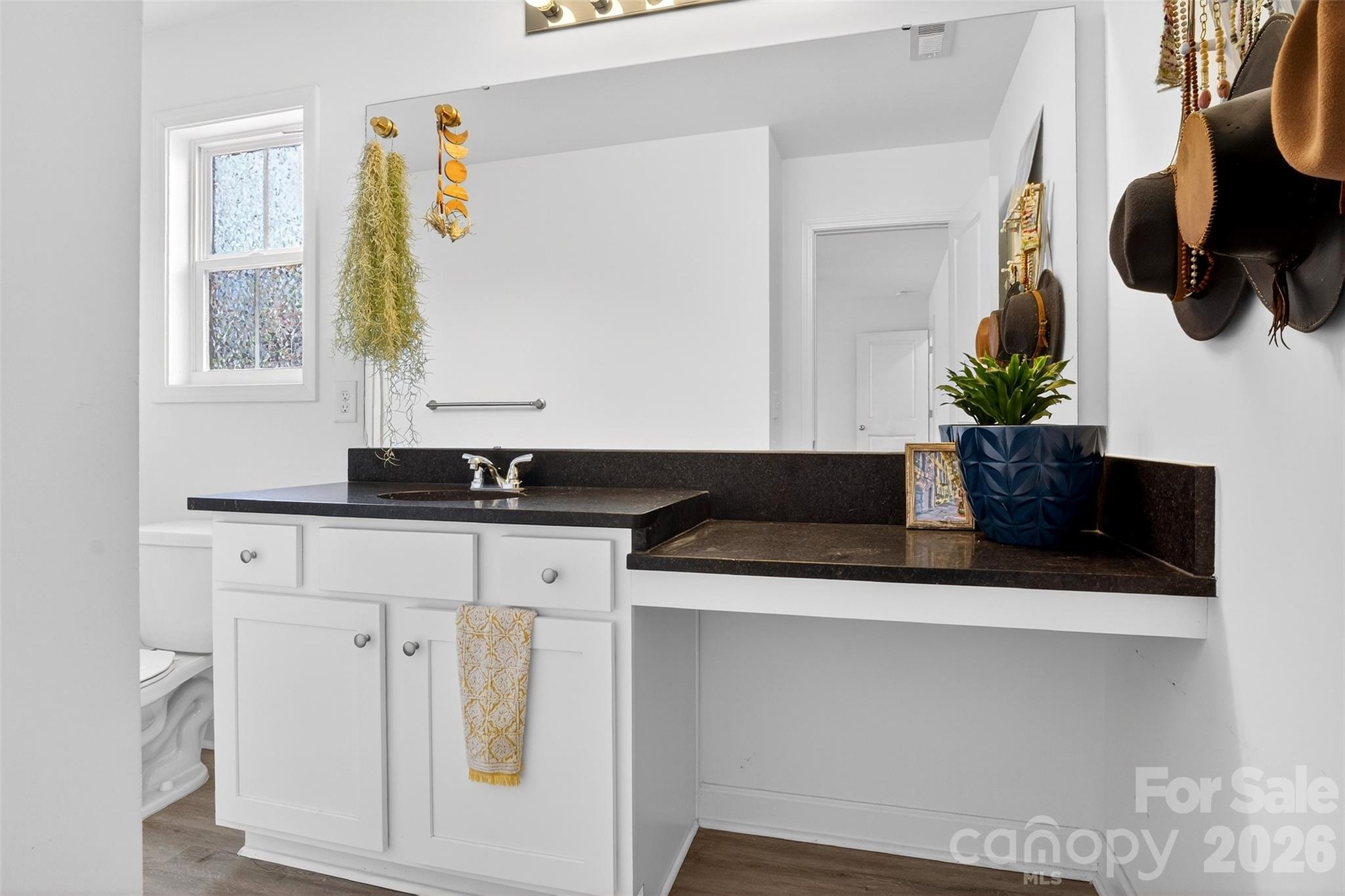 1526 Shepard Street Kannapolis, NC 28083 - Photo 23 of 40 a sink with a potted plant on a counter top and a wooden floor