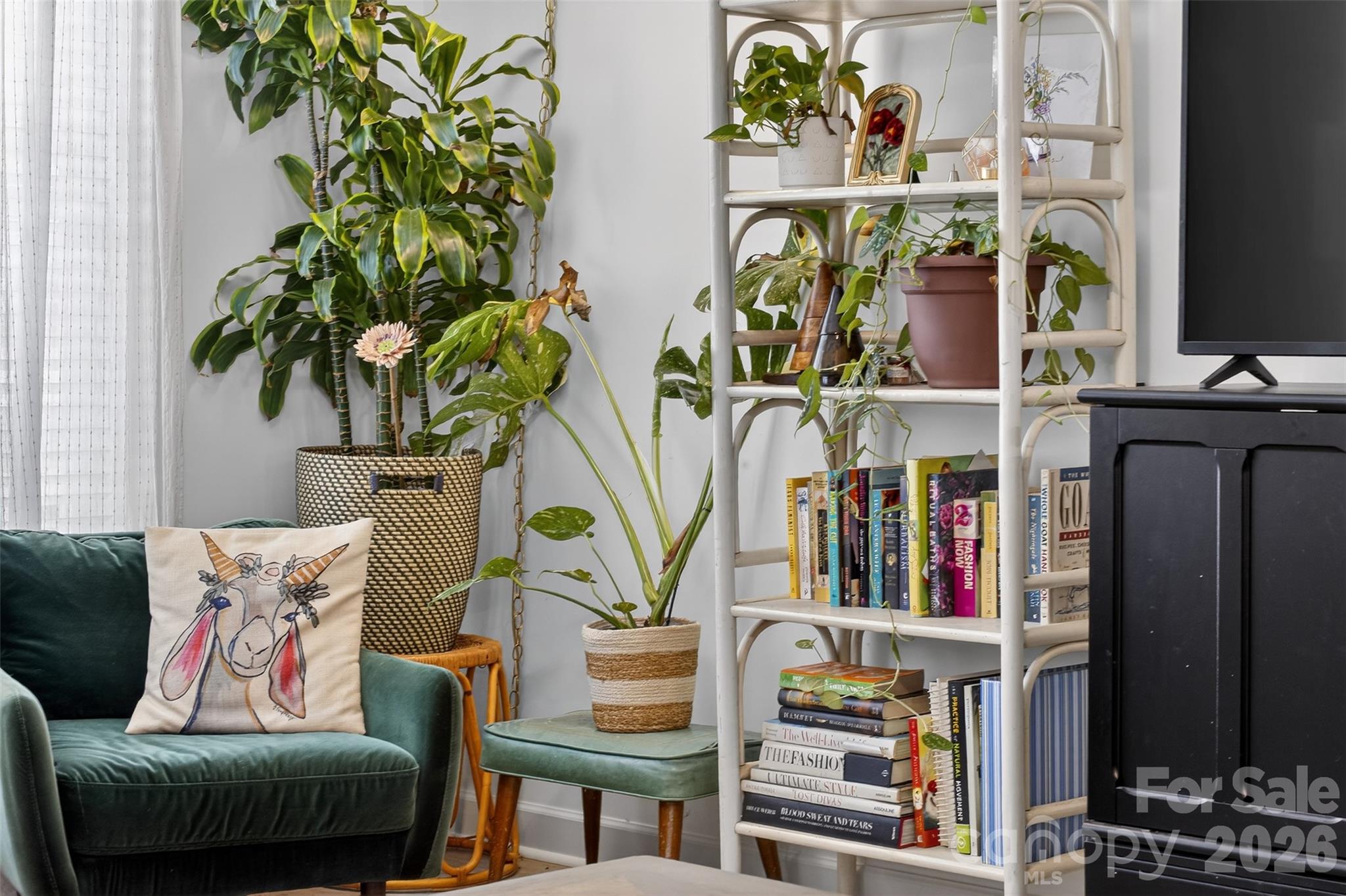 1526 Shepard Street Kannapolis, NC 28083 - Photo 10 of 40 a living room with fireplace furniture and a potted plant