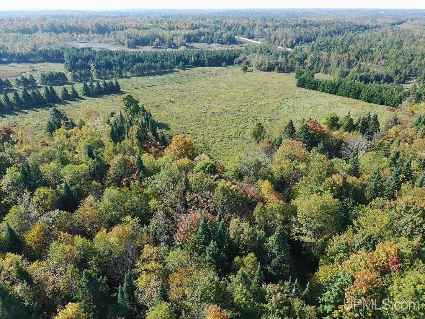 40-acres County Pit Road, Unit PARCEL #4 Manistique, MI 49854 - Photo 30 of 41 Gallery Image 30
