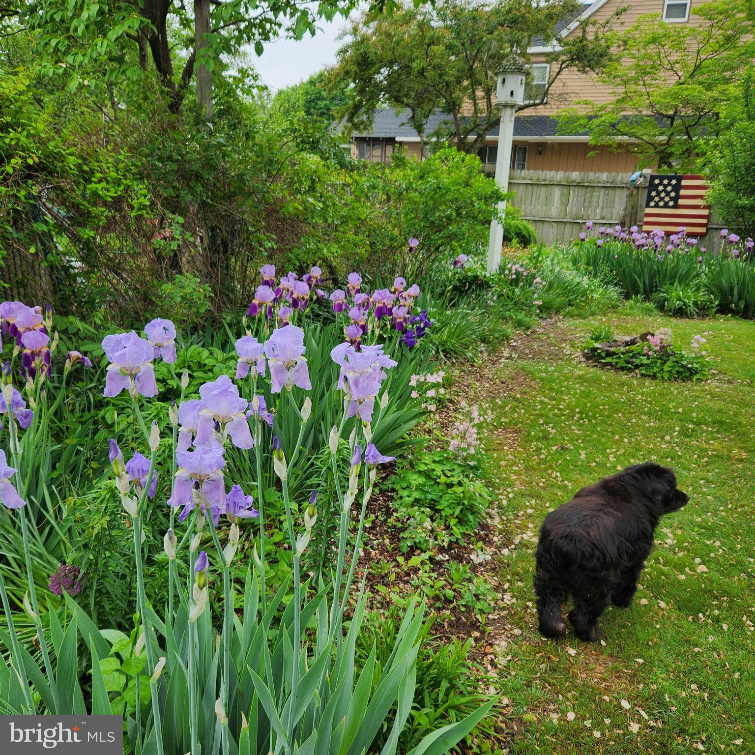 635 Laurel Street Delanco, NJ 08075 - Photo 38 of 45