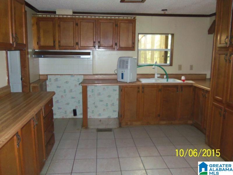 190 Old Gnatville Road Piedmont, AL 36272 - Photo 17 of 21