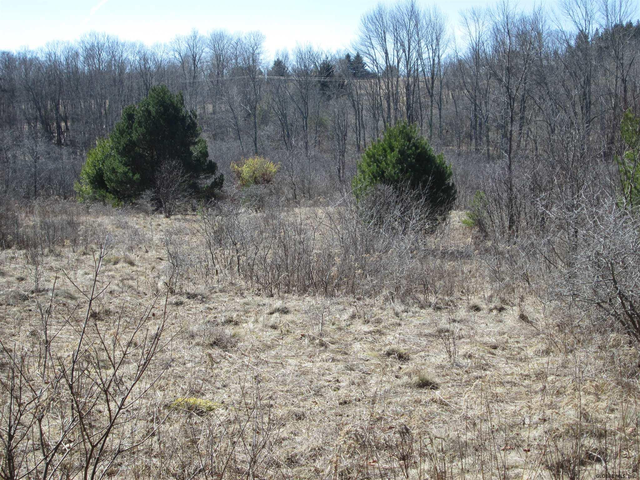 326 Taylor Road Jefferson, NY 12167 - Photo 38 of 43 Photo 38
