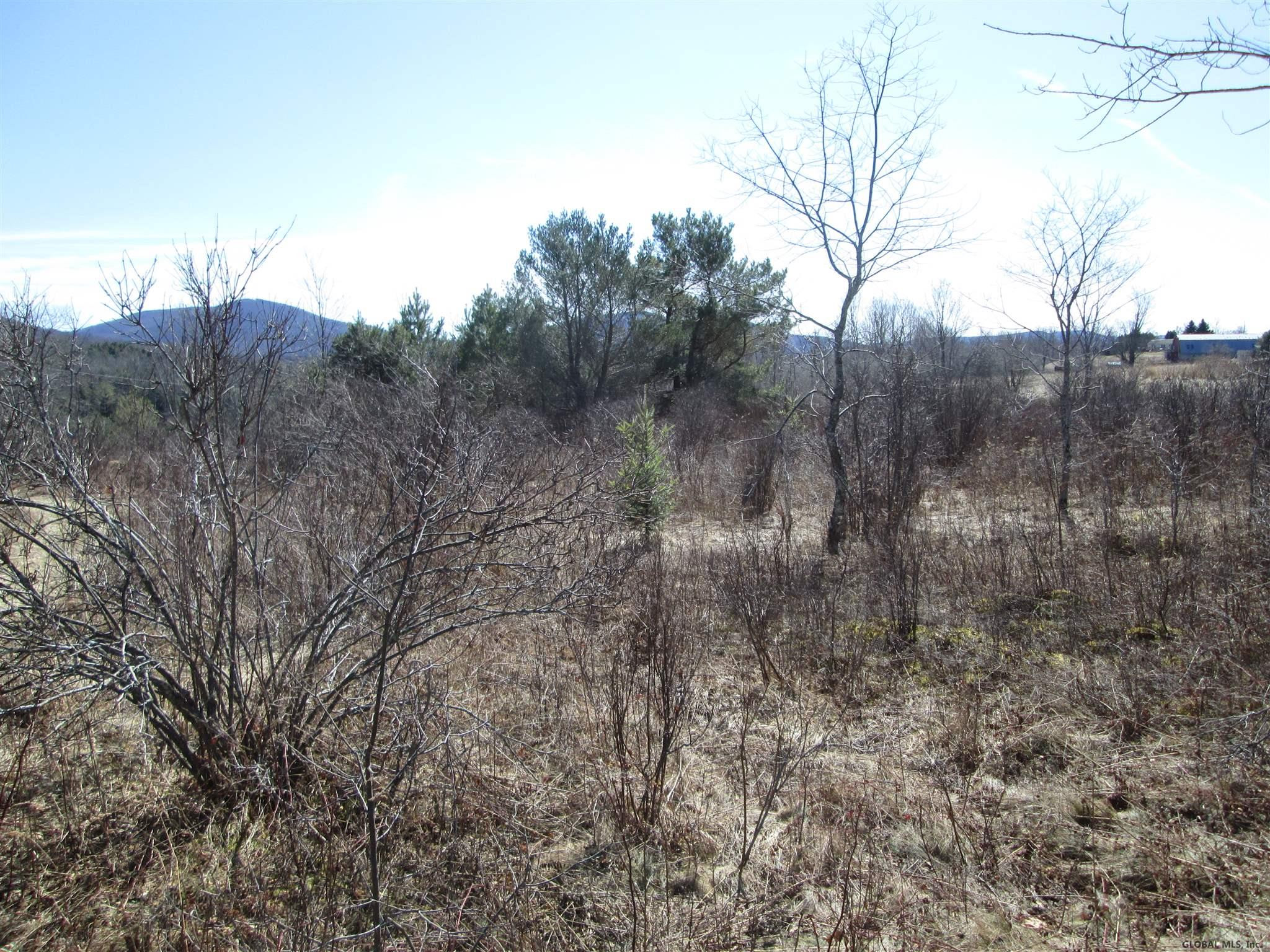 326 Taylor Road Jefferson, NY 12167 - Photo 40 of 43 Photo 40