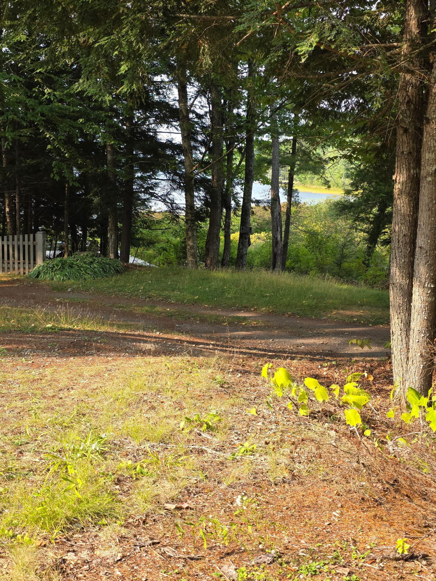 7 Christmas Cove Road Crawford, ME 04694 - Photo 18 of 68 1554040467933330585 2