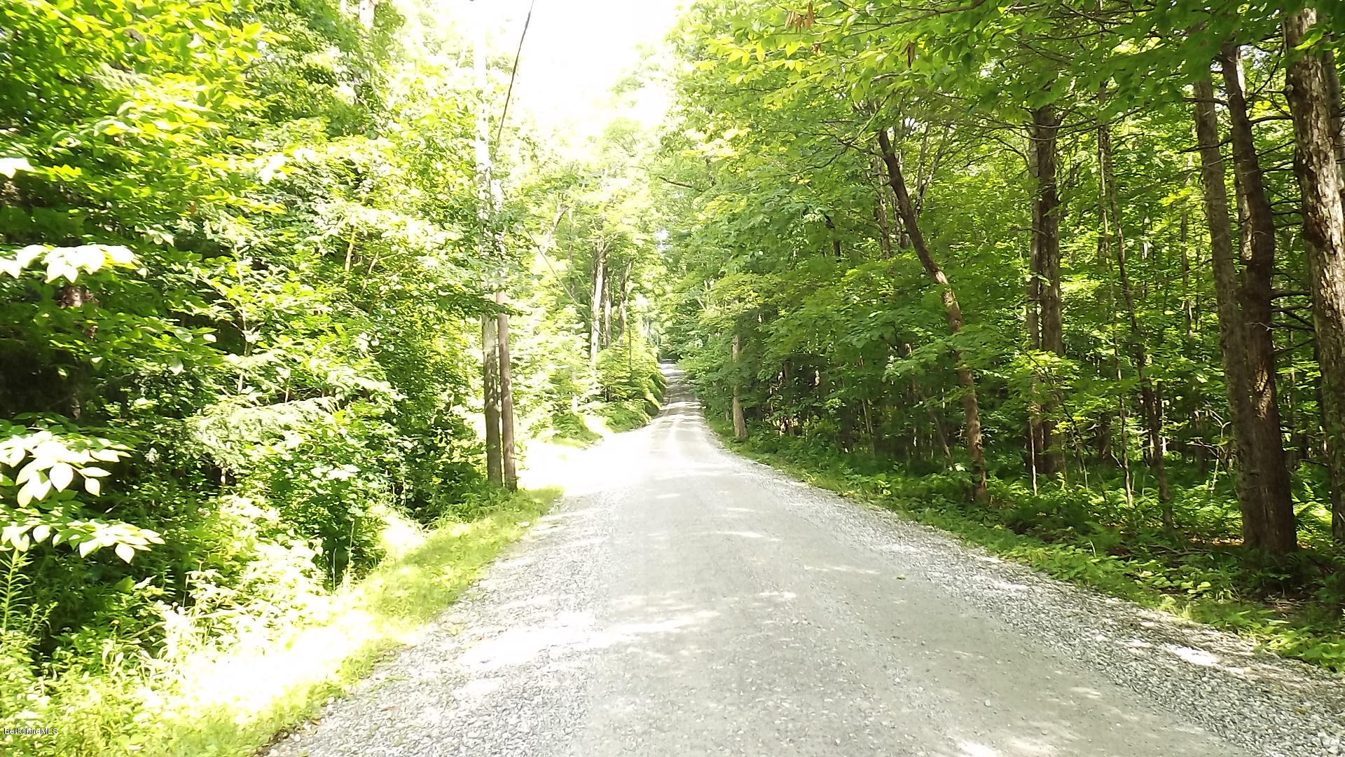 158 Captain Whitney Road Becket, MA 01223 - Photo 6 of 7 a view of a yard with plants and large trees